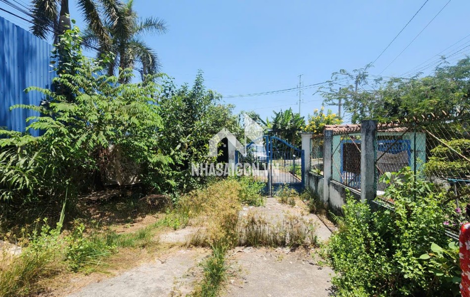 MT Trịnh Quang Nghị, Phong Phú, Bình Chánh 333.9m², 13t nhỉnh